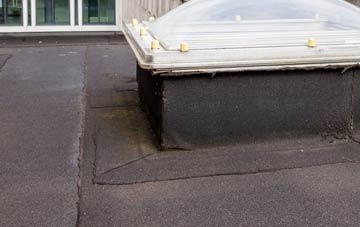 disadvantages of Snailbeach flat roofs